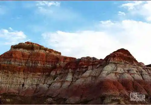 新疆旅游去沙漠看胡杨