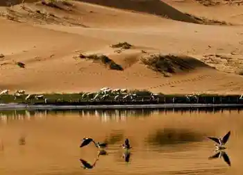 无边南疆大漠游,图十五