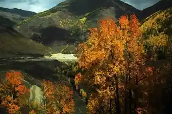 带你进入多彩的喀纳斯,图三