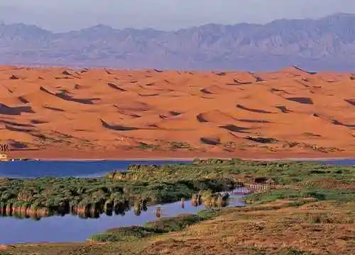 无边南疆大漠游