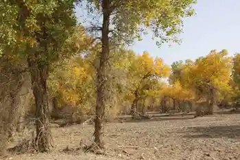 新疆南疆六日游之三,图三