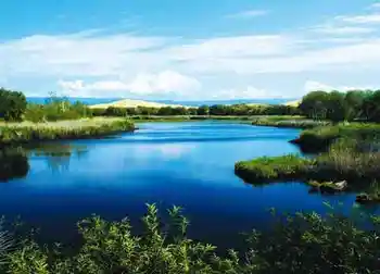 新疆边界上的美丽风光,图十二