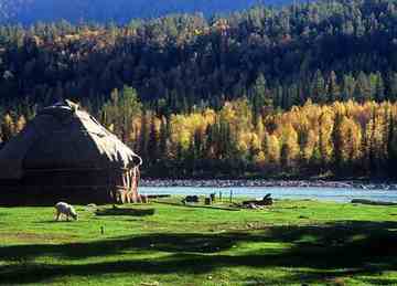 最想回忆的喀纳斯-红叶飘飞的日子,图十一