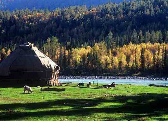 最想回忆的喀纳斯-红叶飘飞的日子,图十一