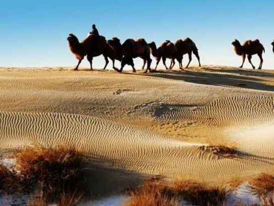 南疆大漠之旅,图十二