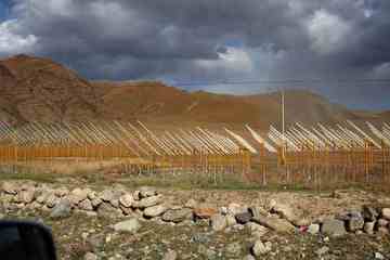 把我们逼上冰达坂,图十