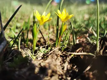 五一自驾哈密大海道无人区,图十