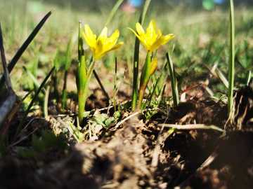五一自驾哈密大海道无人区,图十