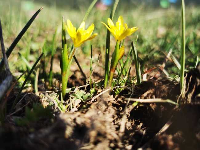 五一自驾哈密大海道无人区,图十