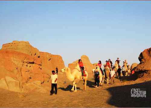 新疆旅游去沙漠看胡杨,图二十五