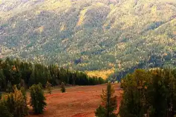 带你进入多彩的喀纳斯,图九