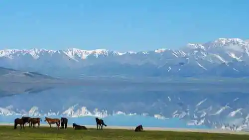 天堂很远而赛里木湖很近