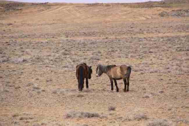 新疆自驾之旅三,图九