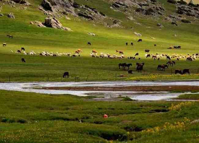 最令人向往的禾木村,图十