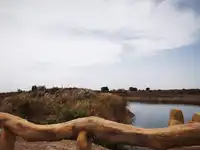 巴楚红海胡杨林景区