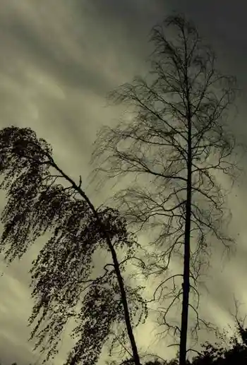 北疆之行--人间的天堂,图十