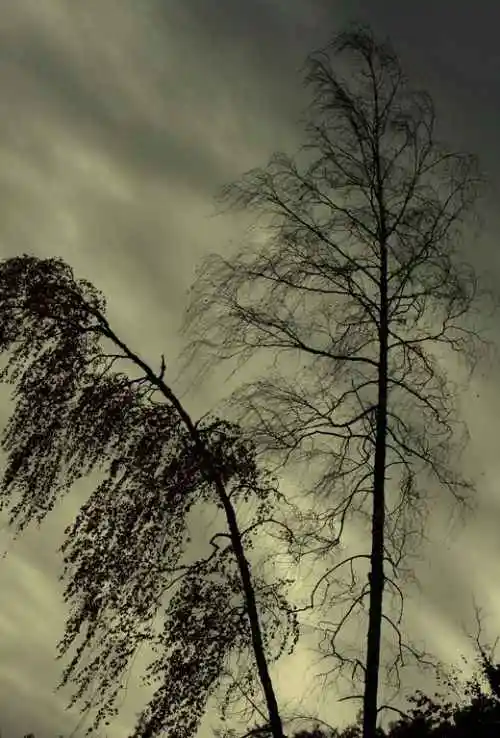 北疆之行--人间的天堂