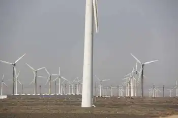 新疆旅游之南疆六日游（一）,图二