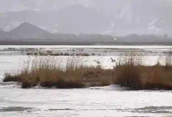 新疆自驾之旅四,图