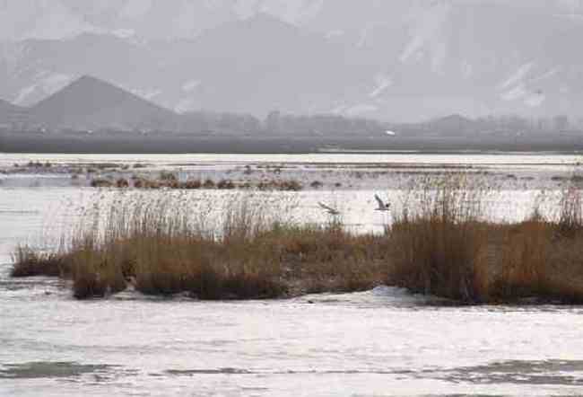 新疆自驾之旅四,图
