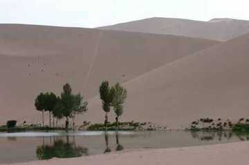 感受祖国西北边陲,图十四