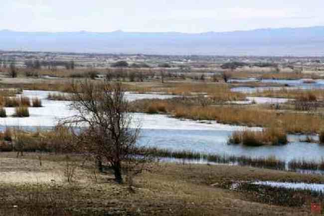 新疆自驾之旅五,图