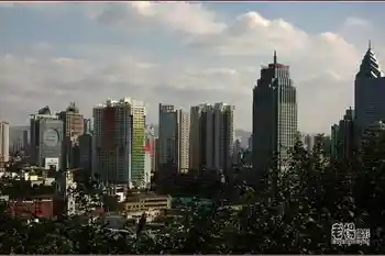 新疆旅游去沙漠看胡杨,图三