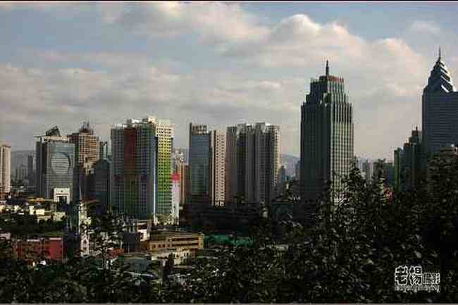 新疆旅游去沙漠看胡杨,图三