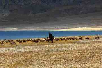 北疆赛里木湖,图十一