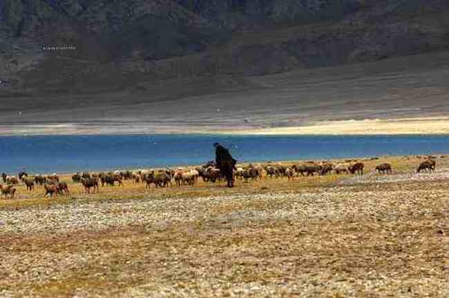 北疆赛里木湖,图十一