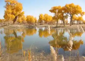 最美的“沙漠之湖”,图二