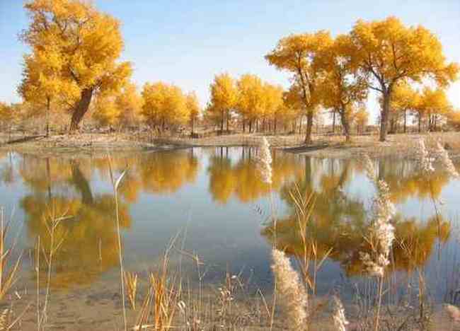 最美的“沙漠之湖”,图二