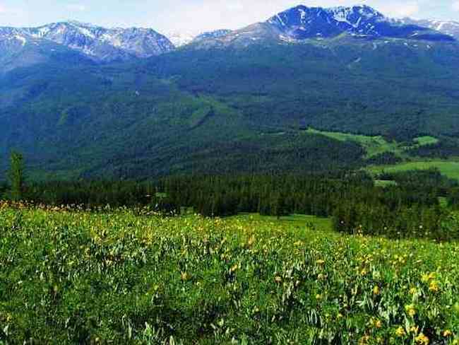 喀纳斯,遗落在人间的仙境,图二十