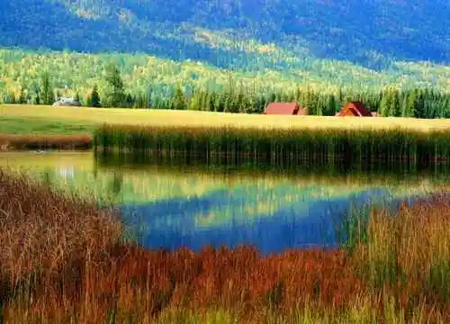 最想回忆的喀纳斯－红叶飘飞的日子