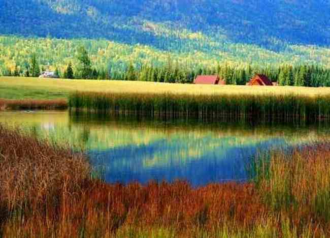 最想回忆的喀纳斯-红叶飘飞的日子,图五