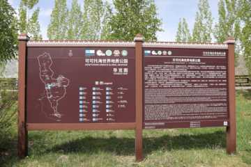 第二天 可可苏里的闲适与可可托海的壮阔,图四