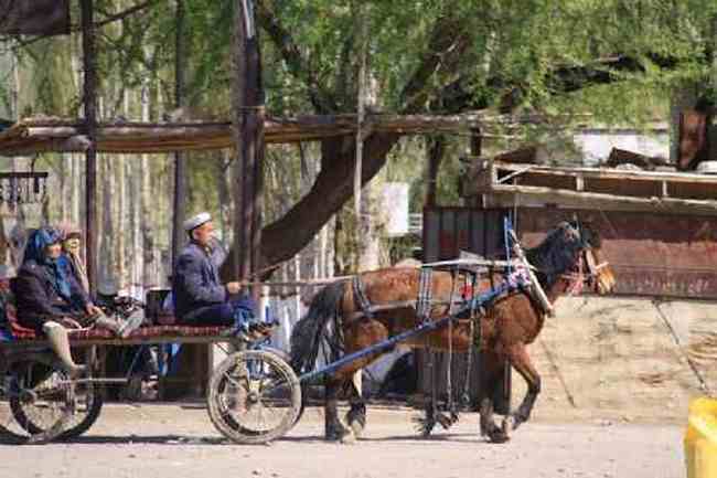 新疆自駕之旅,圖