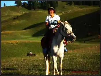 我拍的草原和少女那拉提,图六