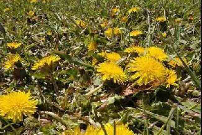 最想回忆的喀纳斯-红叶飘飞的日子,图六