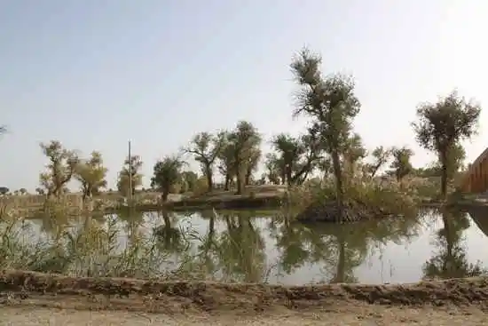 新疆南疆六日游续（二）