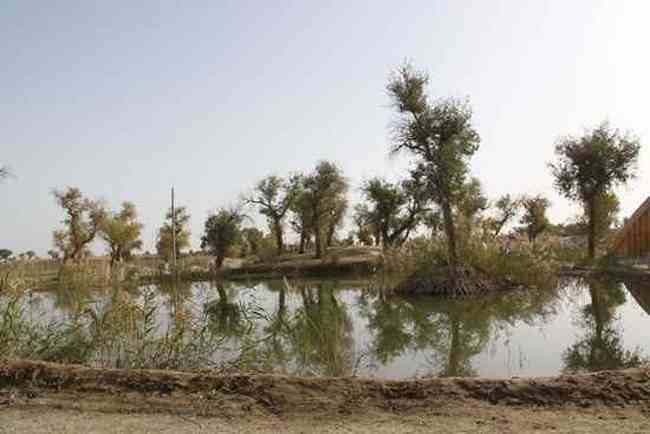 新疆南疆六日游续（二）,图三