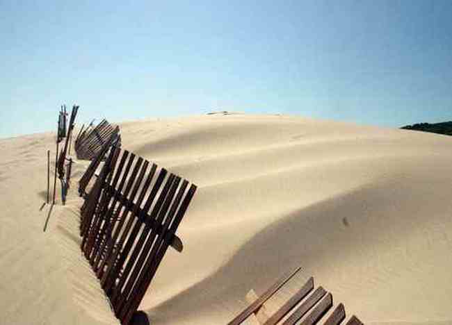 塔克拉玛干沙漠之行,图十二