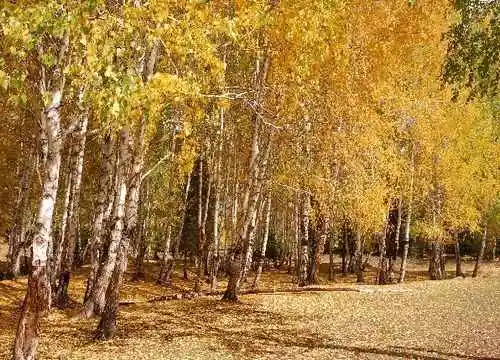 最接近仙境的地方