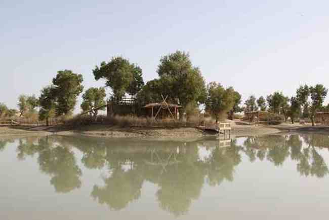 新疆南疆六日游续（二）,图七