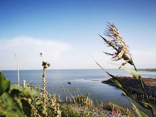 新疆博斯腾湖大河口景点