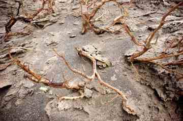 消失的中国最低地-艾丁湖,图十八