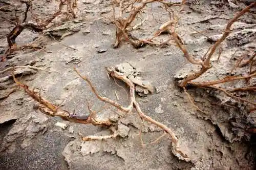 消失的中国最低地－艾丁湖