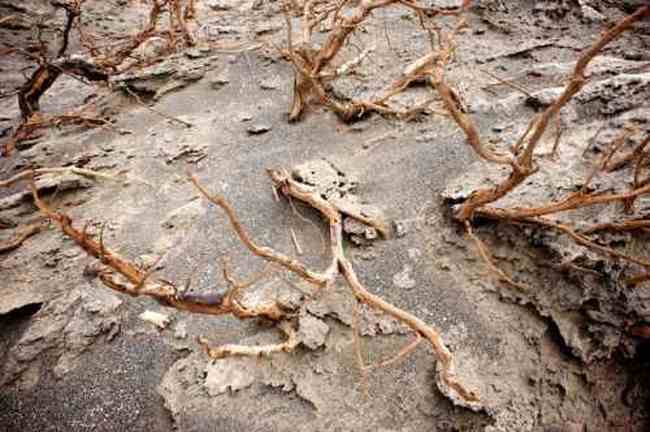 消失的中国最低地-艾丁湖,图十八