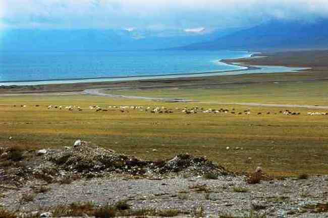 北疆赛里木湖,图四
