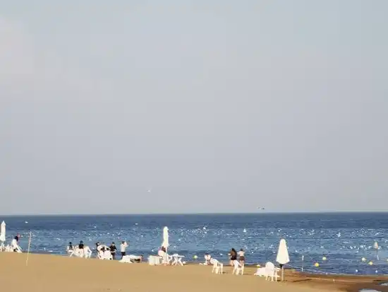 新疆博斯腾湖大河口景点